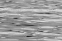 20250816-c-0011