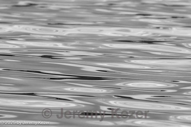 20250816-c-0011.jpg