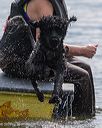 20250816-cwd-0146