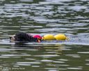 20250816-wwd-0142