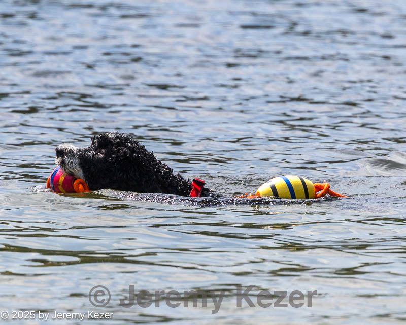 20250816-wwd-0286.jpg