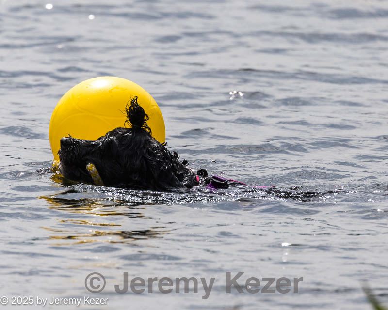 20250817-cwd-0127.jpg