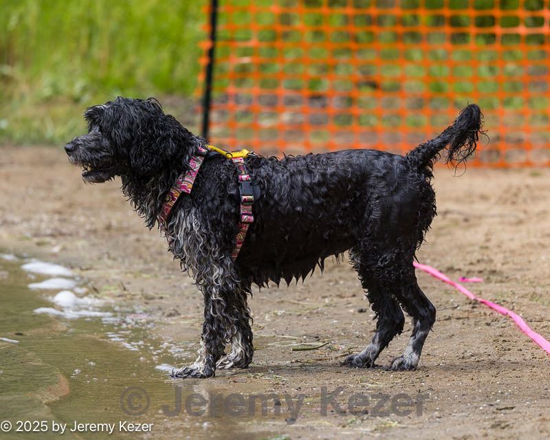 20250817-cwd-0146.jpg