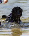 20250817-jwd-0201