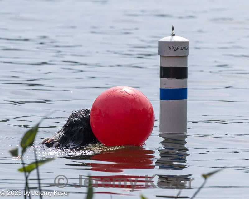 20250817-master-0063.jpg