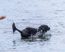 20250817-wwd-0014