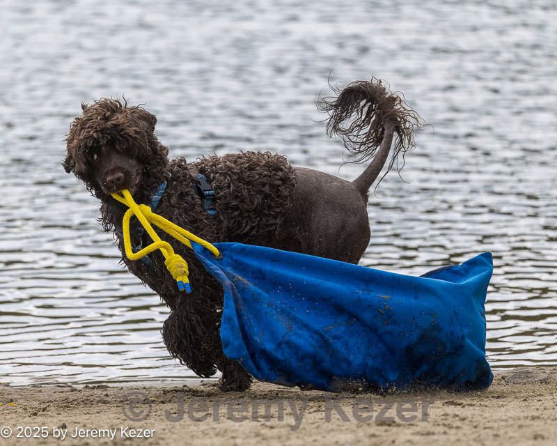 20250913-wwd-0060.jpg