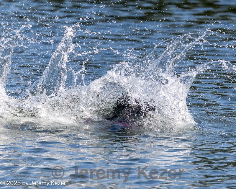 20250914-master-0130.jpg