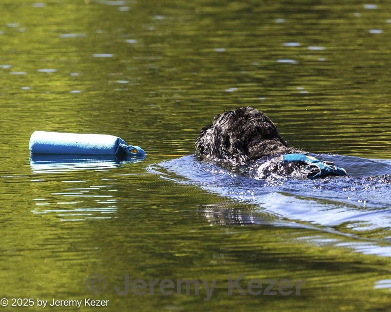 20250920-awd-0112.jpg