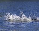 20250920-cwd-0202