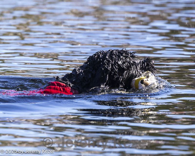 20250920-cwd-0303.jpg