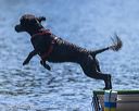 20250920-wwd-0070