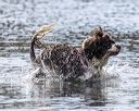20250921-cwd-0097