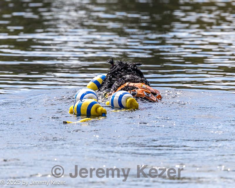 20250921-cwd-0175.jpg
