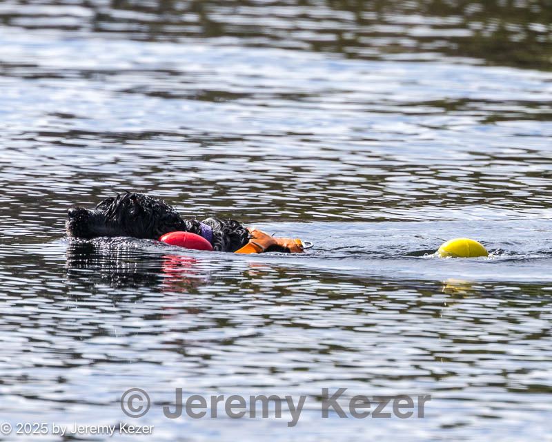20250921-cwd-0193.jpg