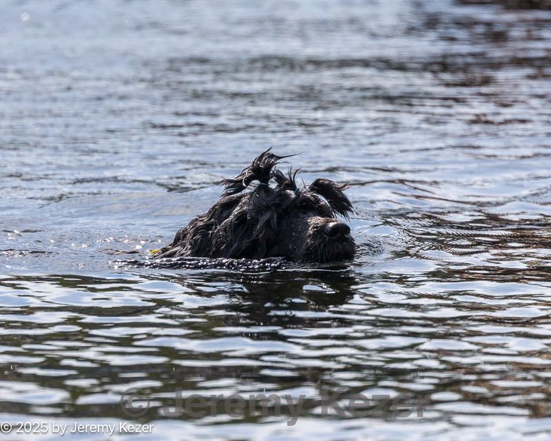 20250921-cwd-0202.jpg