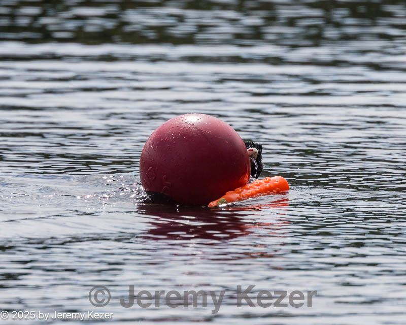 20250921-wwd-0027.jpg