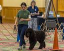 20260513-ob-0031