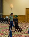 20260513-ob-0034