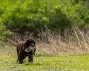 20260516-wcl-0105