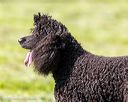 20260516-wcxl-0026
