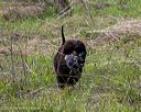 20260516-wcxl-0039