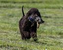 20260516-wcxl-0043