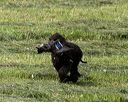 20260516-wcxl-0050