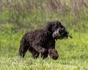 20260516-wcxl-0060