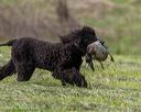 20260516-wcxl-0073