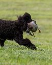 20260516-wcxl-0074