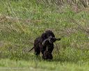 20260516-wcxl-0082