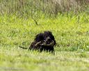 20260516-wcxl-0083
