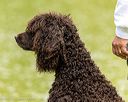 20260516-wcxw-0045