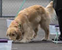 20260718-NSKC-0290