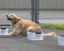 20260718-NSKC-0292