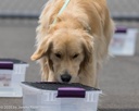 20260718-NSKC-0298