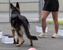 20260718-NSKC-0329