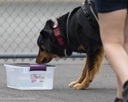 20260718-NSKC-0331