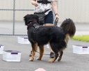 20260718-NSKC-0335