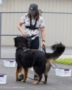 20260718-NSKC-0336