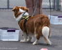 20260718-NSKC-0368