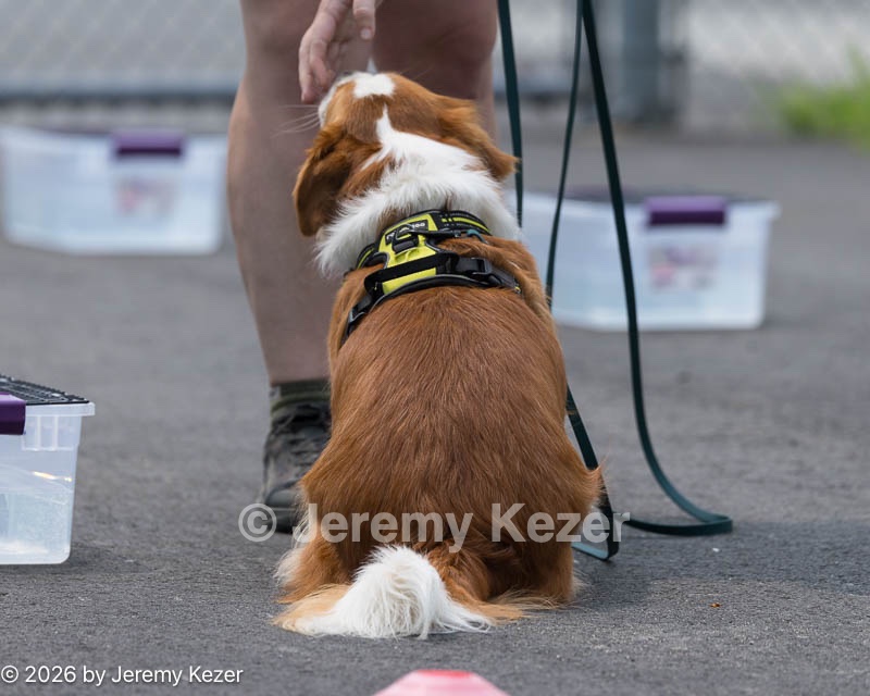 20260718-NSKC-0369.jpg