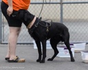 20260718-NSKC-0479