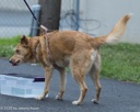 20260718-NSKC-0528