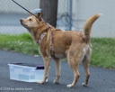 20260718-NSKC-0529