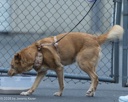 20260718-NSKC-0531