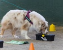 20260718-NSKC-0607