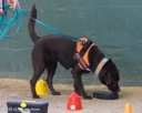 20260718-NSKC-0626
