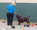 20260718-NSKC-0635